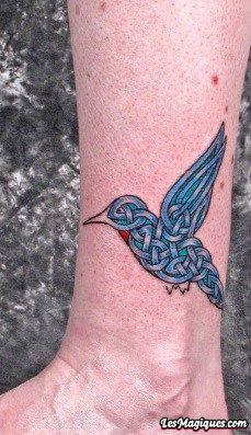 Tatouage de colibri celtique