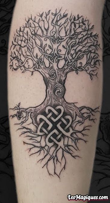 Tatouage arbre de vie celtique