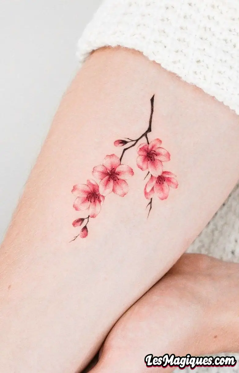 Fleur De Cerisier Tatouage Signification + [ Exemple De Tatouage ]