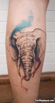 Tatouage aquarelle tête d'éléphant