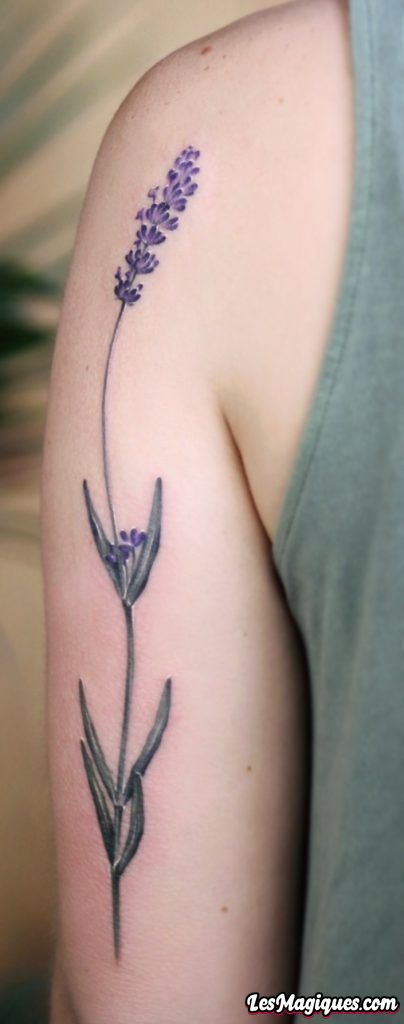Fleur avec tatouage de tige