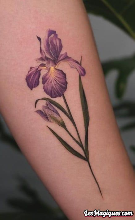 Tatouage Iris Violet