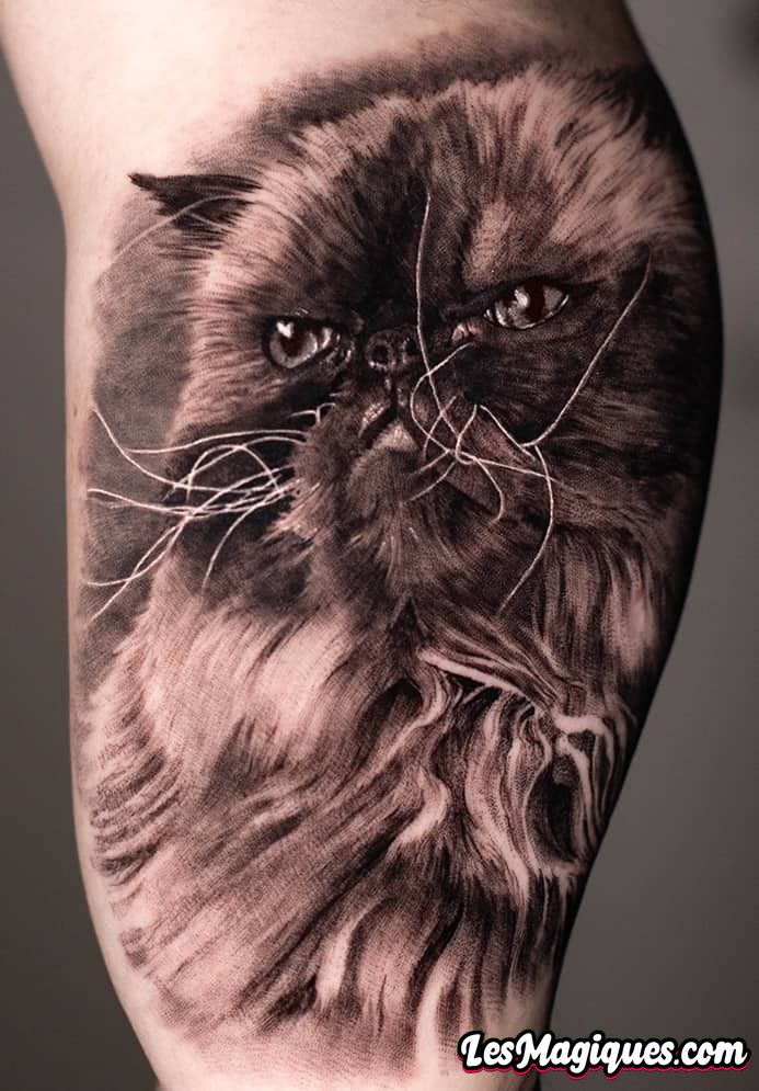 Tatouage réaliste de chat noir et gris