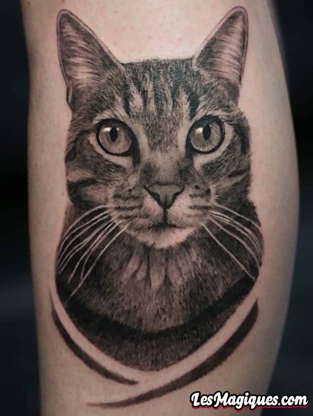 Tatouage réaliste de chat noir et gris