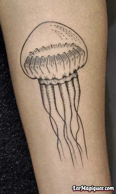 Tatouage de méduse simple