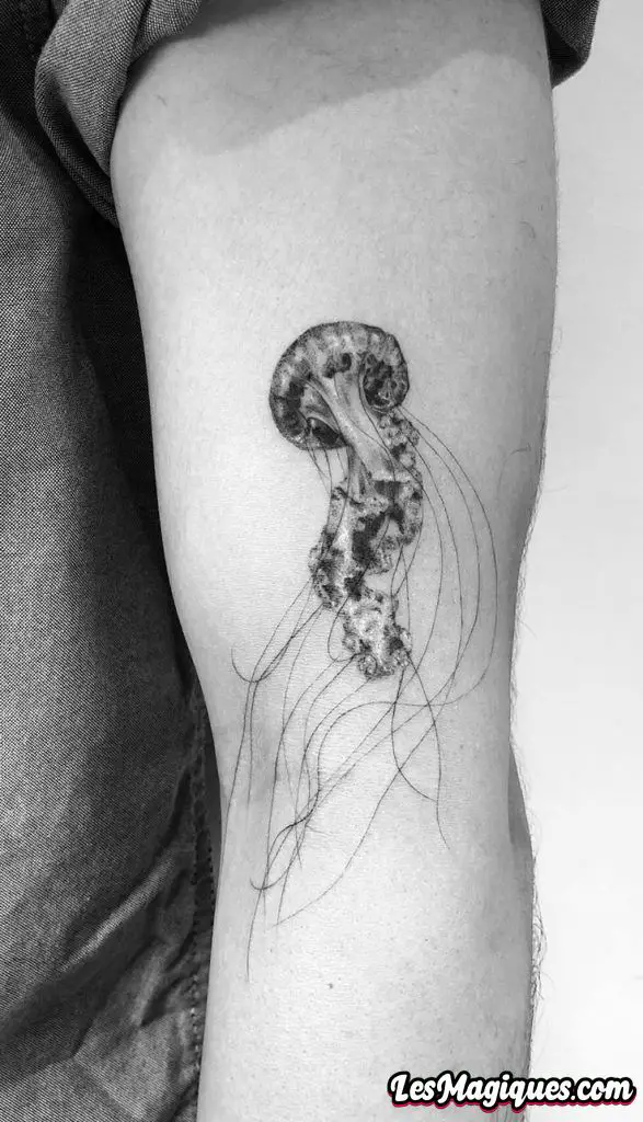 Petit tatouage de méduse