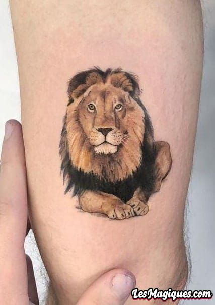 Petit Tatouage De Lion