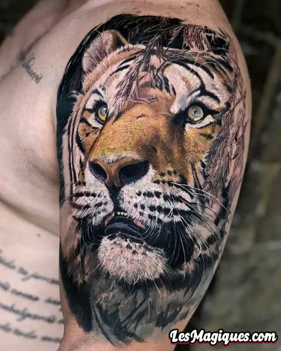 Tatouages ​​​​de tigre sur le haut du bras