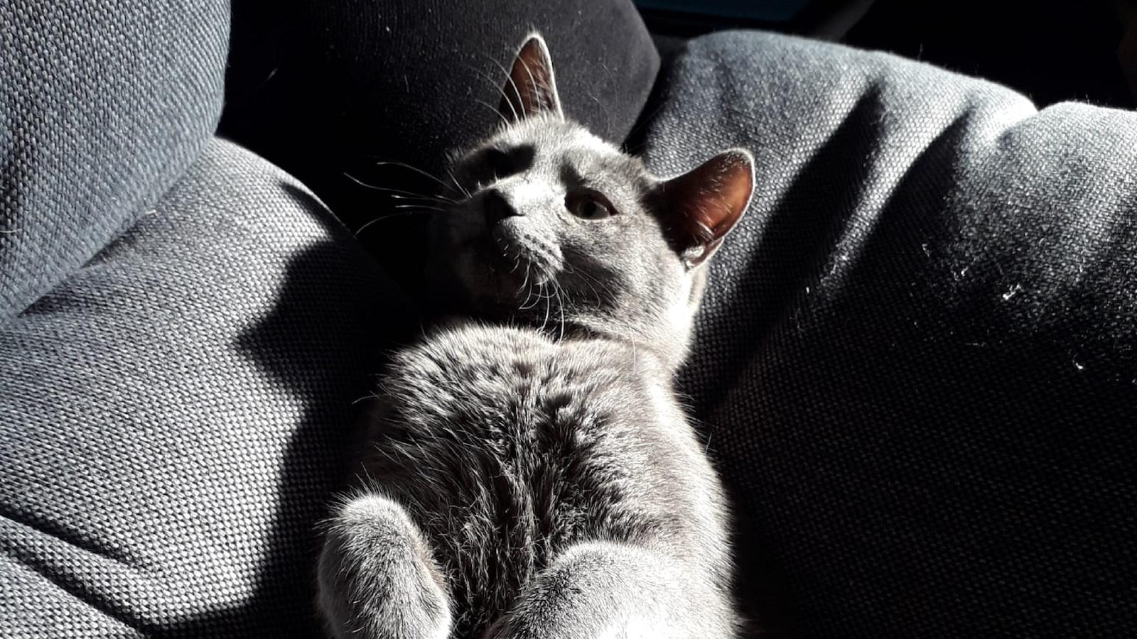 Toucher La Main D'une Femme Signification